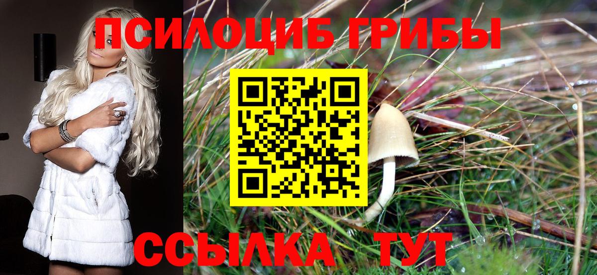 Псилоцибиновые грибы ЛСД Урус-Мартан